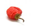 Red pepper