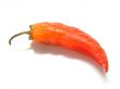 Red pepper 2