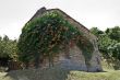 House with plant in flower