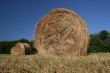 Idyllic field with hay bales in late summer