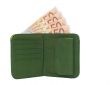 Wallet with Money