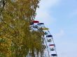 Big wheel, yellow tree and the blue sky