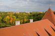 Cityscape over roof