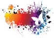butterfly rainbow