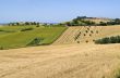 Marche - Landscape near Potenza Picena