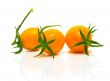 yellow tomatoes