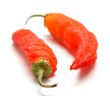Red peppers