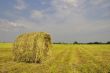 Haystack