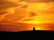 Man and sunset