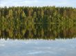 Forest Lake
