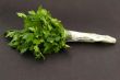 Fresh green parsley