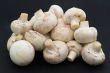 Mushrooms