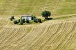 Marche - Landscape