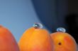 Apricot and glass