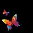 butterfly visable