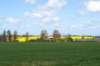 Landscape: a green field and behind it yellow open spaces of a b