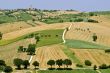 Marche - Landscape
