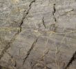 grey rock