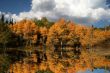 Fall Reflections