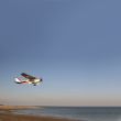Starting airplane over sea