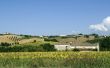 Landscape near Fermo