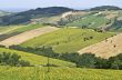 Marche - Panoramic view