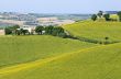 Marche - Landscape