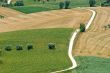 Marche - Landscape