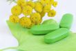 Closeup of pills and fresh Ginkgo Biloba