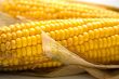 Freshly harvested corn