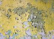 The painted peeled old wall