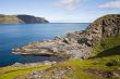 summer norwegian landscape