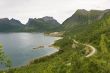 summer norwegian landscape
