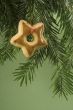 Cookie hanging under tree
