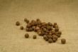 Allspice