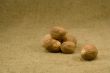 Nutmeg