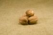 Nutmeg