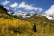 Autumn Meadow