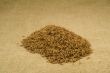 Cumin