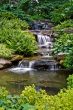 Beautiful waterfall