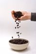 Gourmet coffee beans