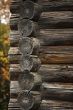 Wall from logs