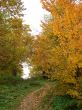 Autumn landscape.