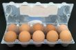 Ten eggs in packing