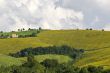 Landscape near Fermo