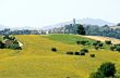 Marche - Landscape
