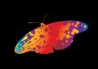bright butterfly
