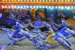 camel race