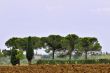 Italian landscape