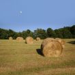 Hay bales and moon